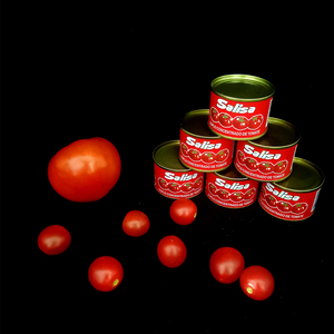 Pasta de Tomate Concentrada en Lata de Fábrica China, 22-24% Brix, 70g 2200g, Pasta de Tomate Enlatada 28-30% Brix para Cocina Halal Africana Musulmana - Product Image 5