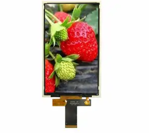 Màn Hình LCD IPS TFT 6 Inch 720X1440 Có Thể Đọc Được Ánh Sáng Mặt Trời Với Giao Diện MIPI 4 Làn Đường Và Bảng Cảm Ứng