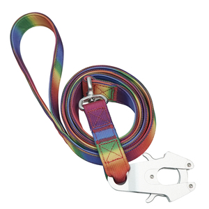 Heavy Duty <b>Rainbow</b> Nylon Dog Leash, Durable Metal Clip for Medium to Large Breeds - Product Image 1