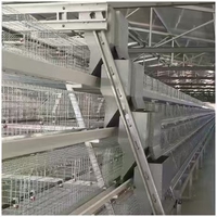 Cage à poulets innovante Linchuan, nouvelle génération, en acier galvanisé à chaud, pour 48 à 160 oiseaux, pour fermes avicoles modernes à grande échelle, longue durée de vie