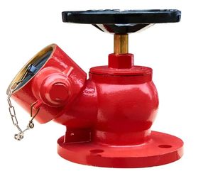 Thiết bị chữa cháy CE chứng nhận 2.5 inch trong nhà vòi chữa cháy-cơ thể đồng thau mạ chrome - Product Image 2