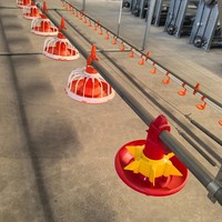 Nouveau système d'alimentation et d'abreuvement pour poulets de chair avec ligne de distribution d'eau et de nourriture en tuyau galvanisé à chaud pour l'élevage avicole et les poulaillers