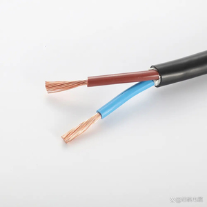 RVV 2*6 300/500V Factory Direct <strong>Manufactured</strong> Low Voltage High Quality Double Cores <strong>Copper</strong> Conductor PVC Insulated Electric <strong>Wire</strong> - Product Image 3