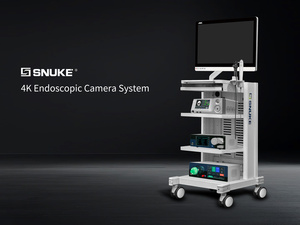 Équipement de diagnostic vétérinaire tout-en-un, support de moniteur médical en métal, chariot d'endoscopie, certifié CE, SNUKE LN-N8001, classe II 1 - Product Image 4