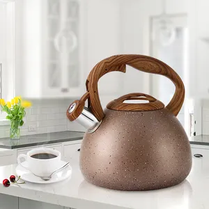 chinese stovetop stove top tea pot kettles stainless steel water whistling kettle for wood stove price color box