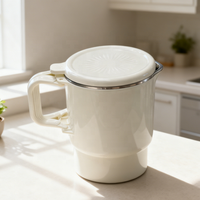 Bouilloire électrique pliable portable, double tension, 1,0 litre, ébullition rapide, pour les voyages, la maison, le bureau et l'usage domestique, compacte et légère