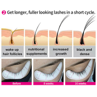 Sérum de croissance des cils et des sourcils 100% OEM, pour des cils épais et longs, label privé naturel, sérum accélérateur de croissance des cils rapide