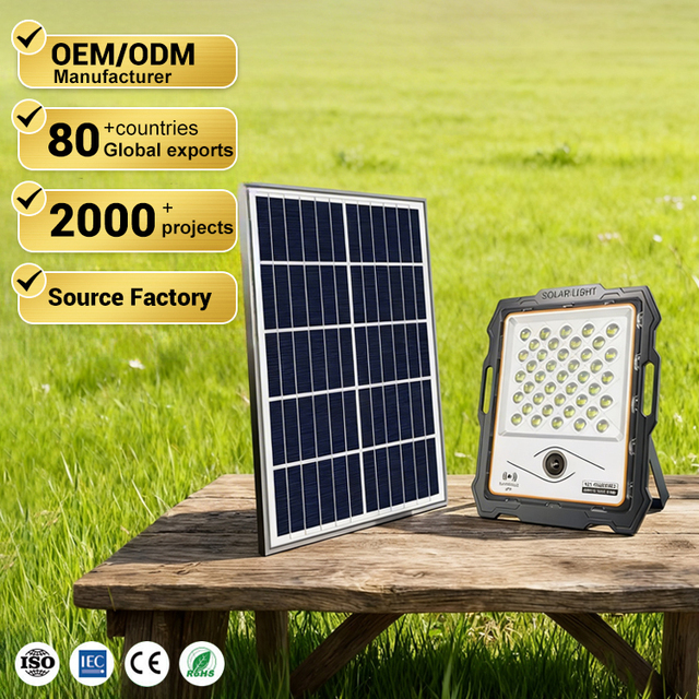 Long Lifespan Outdoor Ip67 Waterproof 100w 200w 300w 400w Led Solar Light With Camera
