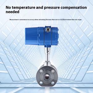 ModbusリモートDn25スレッド質量熱流量計天然ガス圧縮空気酸素窒素流量計Lpg 4-20ma - Product Image 4