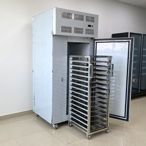 Congélateur à air pulsé commercial compact et économique IQF -80°C avec chariot - Product Image 3