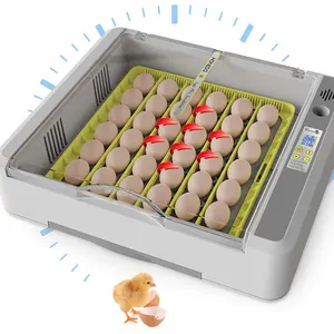 HHD Intelligent Control CE Approved 112 Eggs Incubator 12 Months Fully Automatic for Hatching Eggs 58*57*31CM * Hatching Chicken