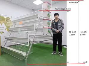 Hop satış tavuk pil 500 tavuklar katman döşeme yumurta yetiştiriciliği pil kanatlı çiftlik tavuk kafesi ev kullanımı için - Product Image 4