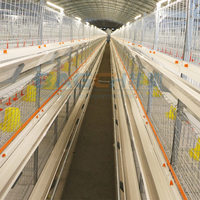 Cages d'élevage automatiques pour élever des poules