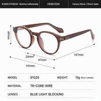 Lunettes optiques de prescription vintage à monture intégrale en TR avec charnière à ressort en fil métallique, verres PC anti-lumière bleue, personnalisables OEM/ODM avec logo