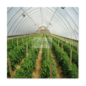 Rouleau de film manuel Ouvre-fenêtre d'intérieur Panneau de refroidissement automatique Arches <span class=keywords><strong>Tunnel</strong></span> Rollup Motors Solar Greenhouse Grow Tent à vendre - Product Image 6