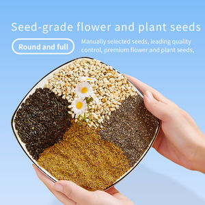 Alimento para Loros al por Mayor de Fábrica YEE, Mezcla de Semillas de Frutas, Alimento Nutritivo sin Aditivos para Periquitos, Agapornis y Periquitos Australianos - Product Image 4