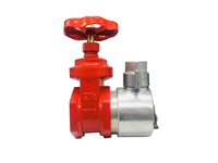 Usine chinoise Meilleur prix Usine chinoise Bonne qualité Vanne de bouche d'incendie 2 "FM