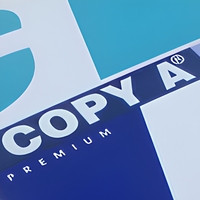 Papier de Copie Blanc A4 en Gros 80g/m² 75g/m² 70g/m² 500 Feuilles pour Impression Bureau École Entreprise Qualité Supérieure