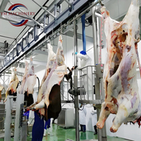 Ligne complète d'abattage de viande bovine Machine d'abattage et de décapage automatiques à haute productivité avec roulement moteur Capacité 200