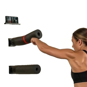 Barra de entrenamiento de boxeo Wellshow Sport para montar <span class=keywords><strong>en</strong></span> la pared con soporte para teléfono, saco de boxeo de velocidad, entrenador de reflejos - Product Image 1