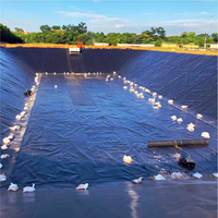 Геомембрана для соляных резервуаров из HDPE/PVC/LLDPE, водонепроницаемая, экологичная, УФ-стойкая, толщина 0,75 мм, гарантия 5 лет, для производства соли