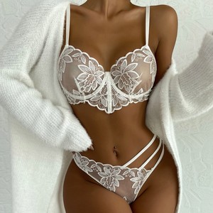 Perdagangan Luar Negeri Pasokan ODM Gaya Baru Eropa dan Amerika Lingerie Seksi Wanita Set Dua Potong Berbahan Renda Jala Bordir Lucu Cina - Product Image 1
