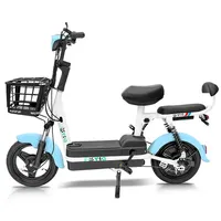 E-Bike 350W Vélo électrique 2 places Scooter électrique Vélo de ville électrique Vélo électrique avec batterie au plomb