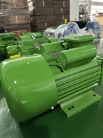 Moteur électrique asynchrone monophasé haute efficacité série YC 0,25 kW, robuste, encastré, 3000 tr/min, 50/60 Hz, 220 V AC