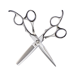 Hairdressing Scissors Set 6 Inch 9cr13 Stainless Steel Professional Hair Cutting Shears Thinning Shears For Salon Use - Product Image 1