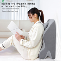Oreiller Ergonomique Premium Moderne en Mousse à Mémoire de Forme Écologique et Portable, Personnalisable, pour Couples, Soutien Corporel et Soins Sexuels, Idéal pour la Lecture
