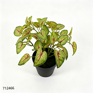 <span class=keywords><strong>ต้น</strong></span>คาลเลเดียมปลอม 5 กิ่ง ลายเส้นสีแดง พร้อมกระถางพลาสติก<span class=keywords><strong>สี</strong></span><span class=keywords><strong>ดำ</strong></span> ตกแต่งบ้าน - Product Image 6