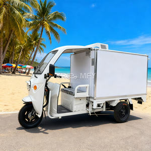 Tricycle frigorifique 2025, compartiment de 1 à 3 m³, congélateur à blast à faible bruit, idéal pour la livraison de produits alimentaires délicats - Product Image 3
