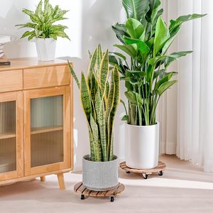 <span class=keywords><strong>Support</strong></span> <span class=keywords><strong>à</strong></span> <span class=keywords><strong>roulettes</strong></span> <span class=keywords><strong>pour</strong></span> plantes d'extérieur, permettant de déplacer facilement les grands pots de <span class=keywords><strong>fleurs</strong></span> <span class=keywords><strong>à</strong></span> l'intérieur et <span class=keywords><strong>à</strong></span> l'extérieur - Product Image 2