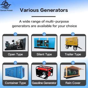 50kW 100kW CHP Biomassa Gas Stoom Houtvergasser Energiegenerator Elektriciteits Turbine Generatie 24V DC Enkel Model GAS-0900 - Product Image 6