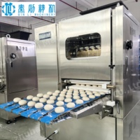 2023 nouvelle conception PLC contrôle ligne de production de tortilla burrito mexicaine machine personnalisée pour tortilla 6 pouces 12 pouces
