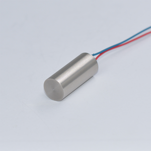 มอเตอร์สั่นสะเทือนกันน้ำแบบแม่เหล็กถาวร 1126 Brush DC 3.3V จากโรงงานโดยตรง ขนาดเส้นผ่านศูนย์กลาง 10 มม. ความยาว 26 มม. สำหรับบ้านอัจฉริยะและพัดลมเรือ - Product Image 1