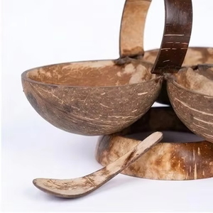 Ensemble de service artisanal en coquille de noix de coco, écologique et naturel, pour fruits secs, noix, épices et sauces - Product Image 3