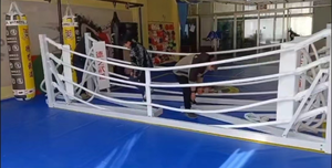 Bon prix Ring de boxe pliant professionnel avec logo personnalisé <span class=keywords><strong>Mini</strong></span> anneaux de boxe pliants professionnels 4x4 - Product Image 6