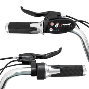 <span class=keywords><strong>JOYKIE</strong></span> 250W 36V Hot Retro Beach Cruiser Ebike 20 ''26'' Fat Tire Bicicleta Eléctrica Fat <span class=keywords><strong>Bike</strong></span> para Hombre - Product Image 6