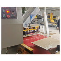 Découpeuse continue automatique professionnelle de tuile de mosaïque de disque de l'usine chinoise pour l'exportation traitant le coupeur de tuile
