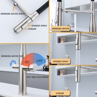Grue filtrée de luxe pour la cuisine Spray extractible 360 Rotation Filtre à eau Robinet Chaud Froid Trois Voies Évier Mélangeur Robinet De Cuisine OEM