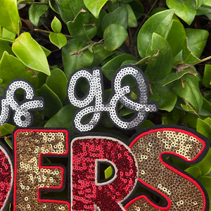 Patch con Lettere in Paillettes Personalizzate 'Let's GO 49 ERS' da Applicare con Ferro da Stiro, Patch Ricamate in Paillettes per Abbigliamento - Product Image 2