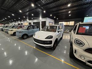 Nuevo vehículo eléctrico de cuatro ruedas completamente cerrado New Energy Electric Four-wheel Vehicle Mini Car - Product Image 2