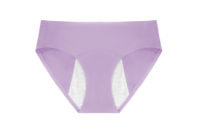Culotte absorbante pour femmes de grande taille Bragas Menstruales sous-vêtements quatre couches anti-fuite culotte de période menstruelle