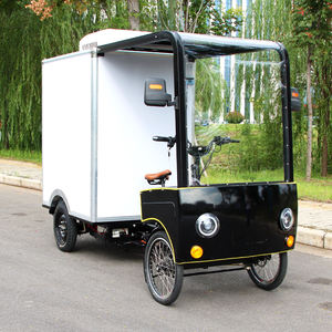 Quad à pneus larges, <span class=keywords><strong>vélo</strong></span> cargo à pédales, <span class=keywords><strong>vélo</strong></span> électrique pour la livraison de pizzas, fourgonnette de livraison, scooter à 4 roues pour adultes - Product Image 4