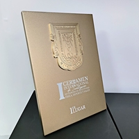 Plaques de récompense en métal 3D en aluminium massif 17x24x1,2 cm – Plaques de reconnaissance 2025 pour événements annuels et célébrations