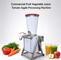Commerciële multifunctionele automatische sinaasappel-appel-wortel-groente-fruit sapcentrifuge en -molen
