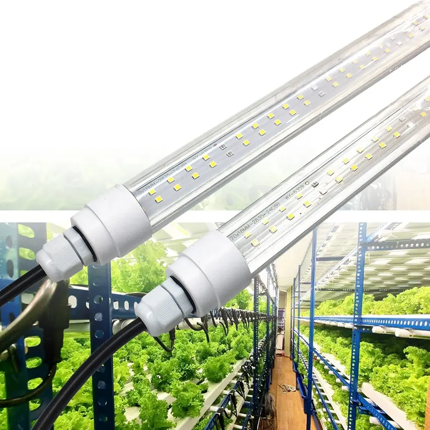 Espectro ajustable impermeable de luz de Cultivo LED tubular por invernadero para hidroponía de lechuga