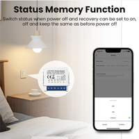 Fabricante Chino, Módulo de Interruptor de Luz de Pared Inteligente Mini DIY de 16A, 1/2/3/4 Gang, Personalizado para Control por Voz de Marca, Smart Life