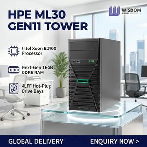 Servidor en Torre HPE ProLiant ML30 Gen11 4U de Alto Rendimiento, Intel E2434, 32GB RAM, 8SFF, para Copia de Seguridad de Archivos, Servidor de Red para Oficinas Remotas - Product Image 1